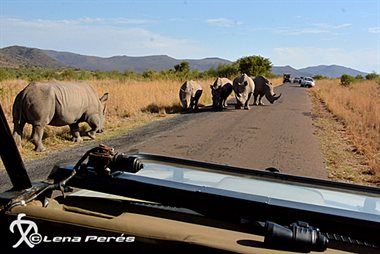 LMP_3270_Roadblock_LP540.jpg