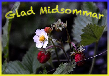 LMP_4313_GladMidsommar_LP540.jpg